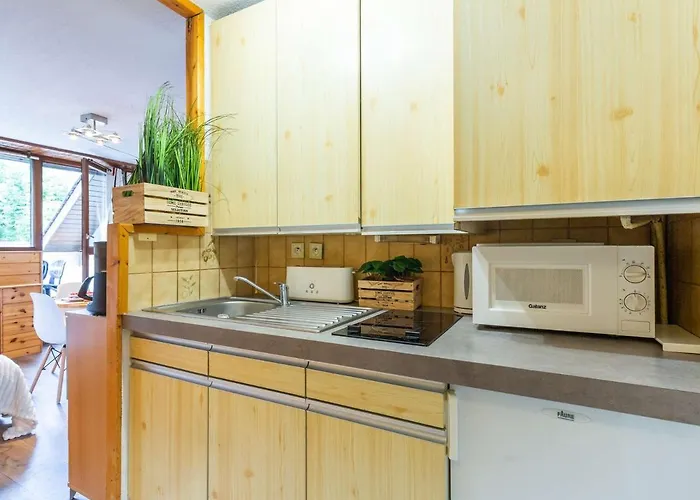 A Lary, Balcon Sud, Proche Telepherique, 4 Pers. - Fr-1-296-478 شقة